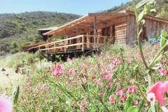 guesthouse-2