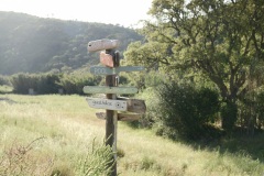 Banner-INFO-page