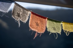 the-land-tibetan-flags