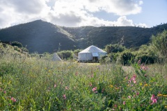 yurt-field